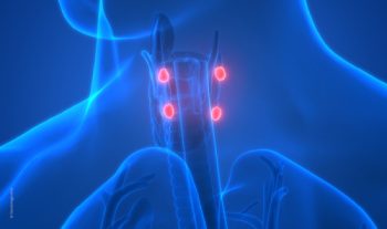 Diagnose und Therapie des primären Hyperparathyreoidismus (pHPT) - BDC ...