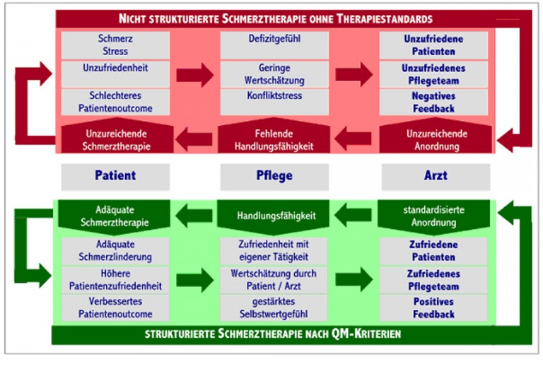 Das Schmerzmentorenkonzept und die Rolle der Pflege im ...